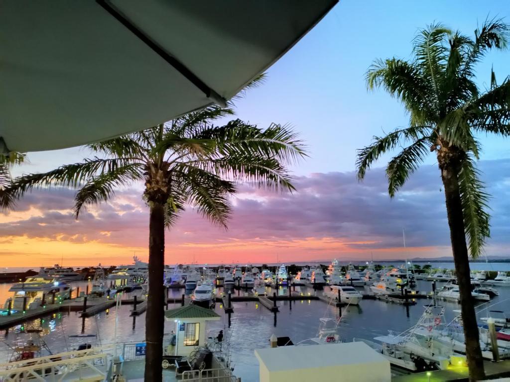 a view of a marina at sunset with palm trees at Sunrise House in Quepos