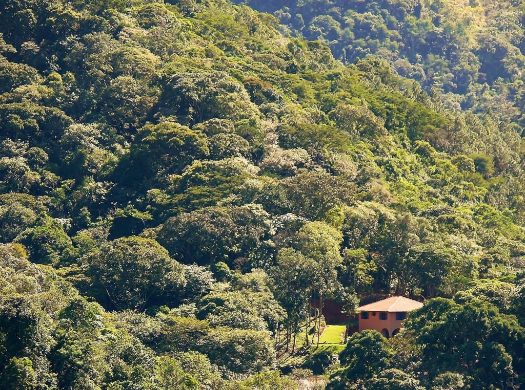 a small hillside with trees and shrubbery at Sitio Flor das Aguas in Lumiar