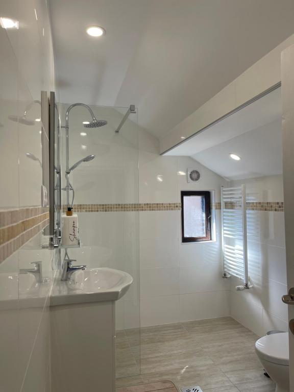 a bathroom with a sink and a glass shower at The Nest in Sinaia
