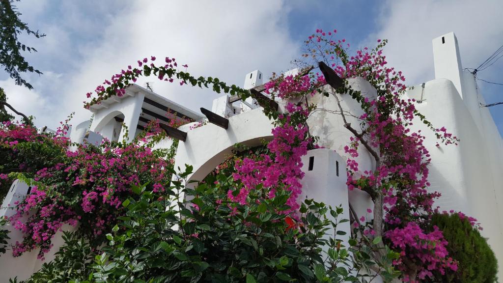 ein weißes Gebäude mit rosa Blumen drauf in der Unterkunft Apartamento bungalow in Mojácar