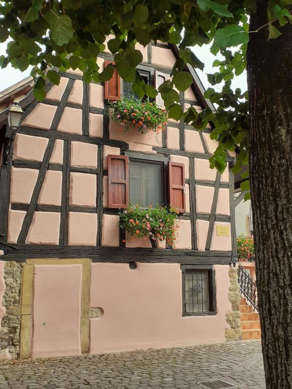 Idéal séjour Alsace ! proche Colmar et sur la route des Vins, Gîte de la Liberté – photo 15