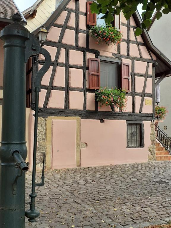 Idéal séjour Alsace ! proche Colmar et sur la route des Vins, Gîte de la Liberté – photo 14