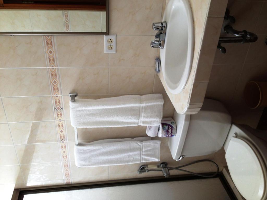 Vannituba majutusasutuses Hotel Castilla