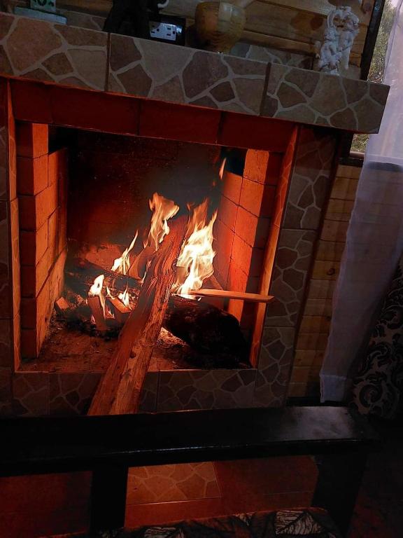Fotografie z fotogalerie ubytování Las Bromelias Lodge v destinaci Paso Macho