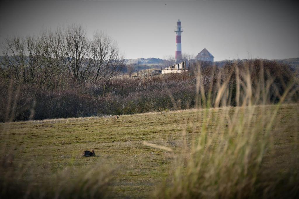 Fotografie z fotogalerie ubytování SunnySide-of-TheSea - with open view on nature, big terraces all around - very close to sea, beach, stores, restaurants & beach bars v destinaci Nieuwpoort-Bad