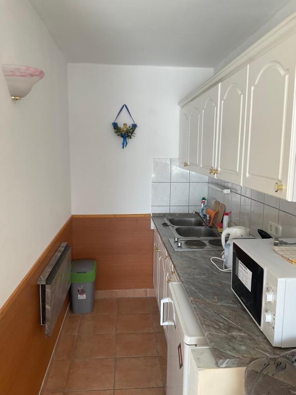 Kuchnia lub aneks kuchenny w obiekcie Arany Apartmanház Zalagyöngye