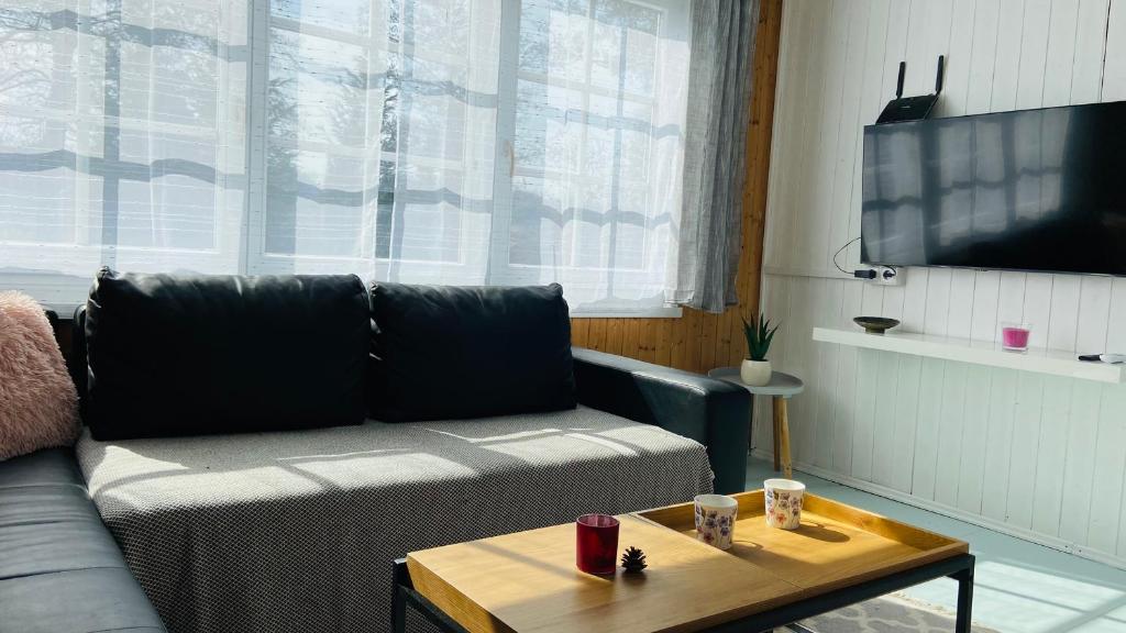 TV a/nebo společenská místnost v ubytování Chata Terezka