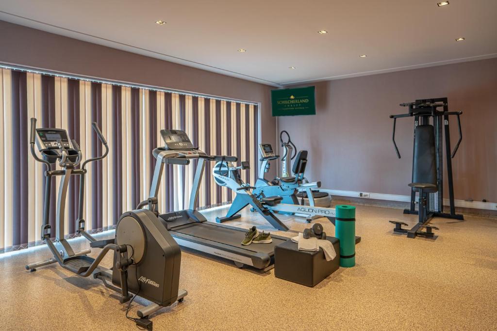 Gimnasio o equipo deportivo en Schilcherland Chalet Südsteiermark