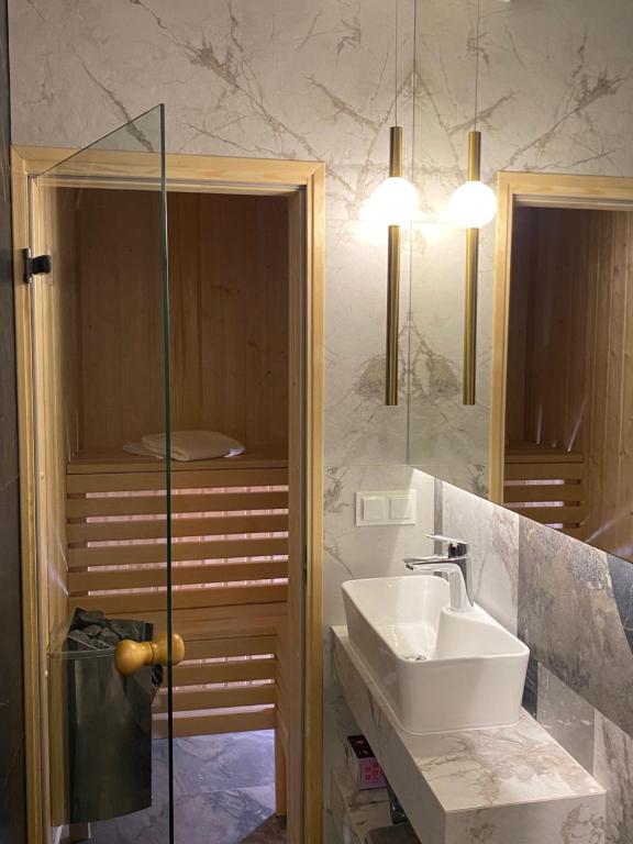 bagno con lavandino e specchio di Family & Business Sauna Tężnia Apartments No18 Leśny nad Zalewem Cedzyna -1 Bedroom with Private Sauna, Bath with Hydromassage , Terrace, Parking, Catering Options a Kielce