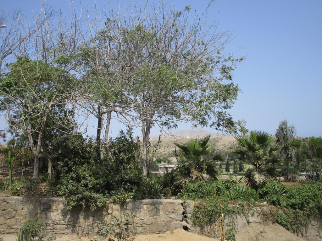 Paesaggio naturale nelle vicinanze della stanza in casa privata