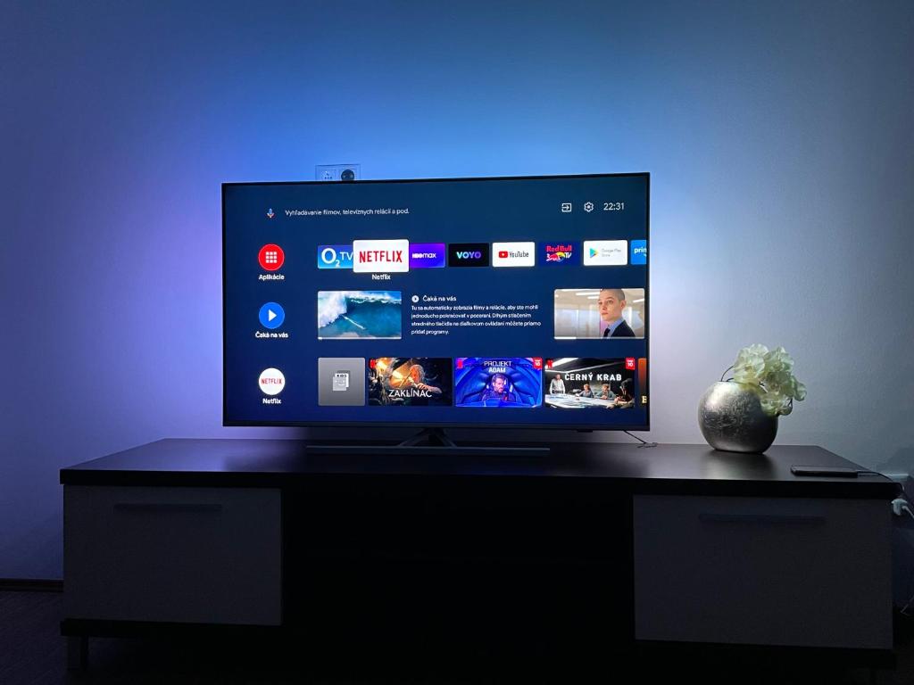 TV a/nebo společenská místnost v ubytování Apartmán SOŇA