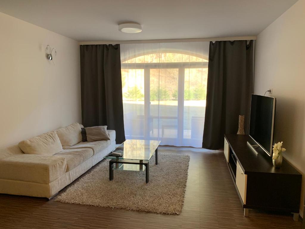 TV a/nebo společenská místnost v ubytování Apartmán SOŇA