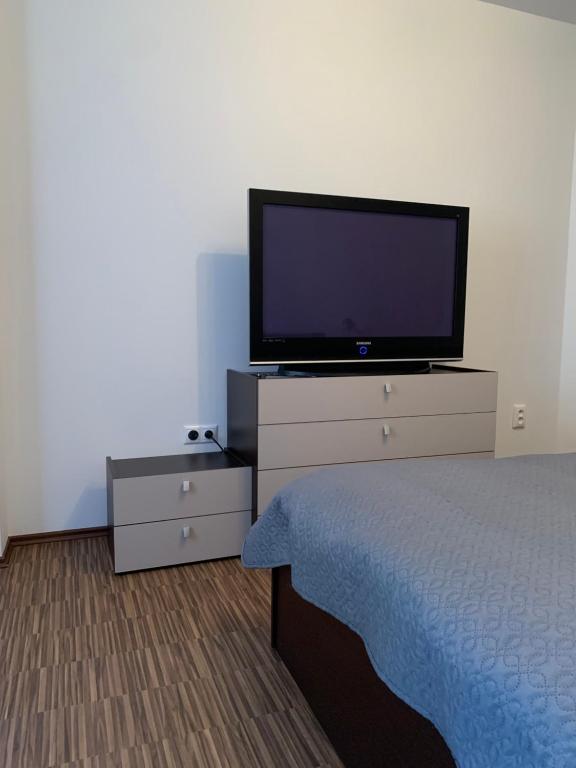 TV a/nebo společenská místnost v ubytování Apartmán SOŇA