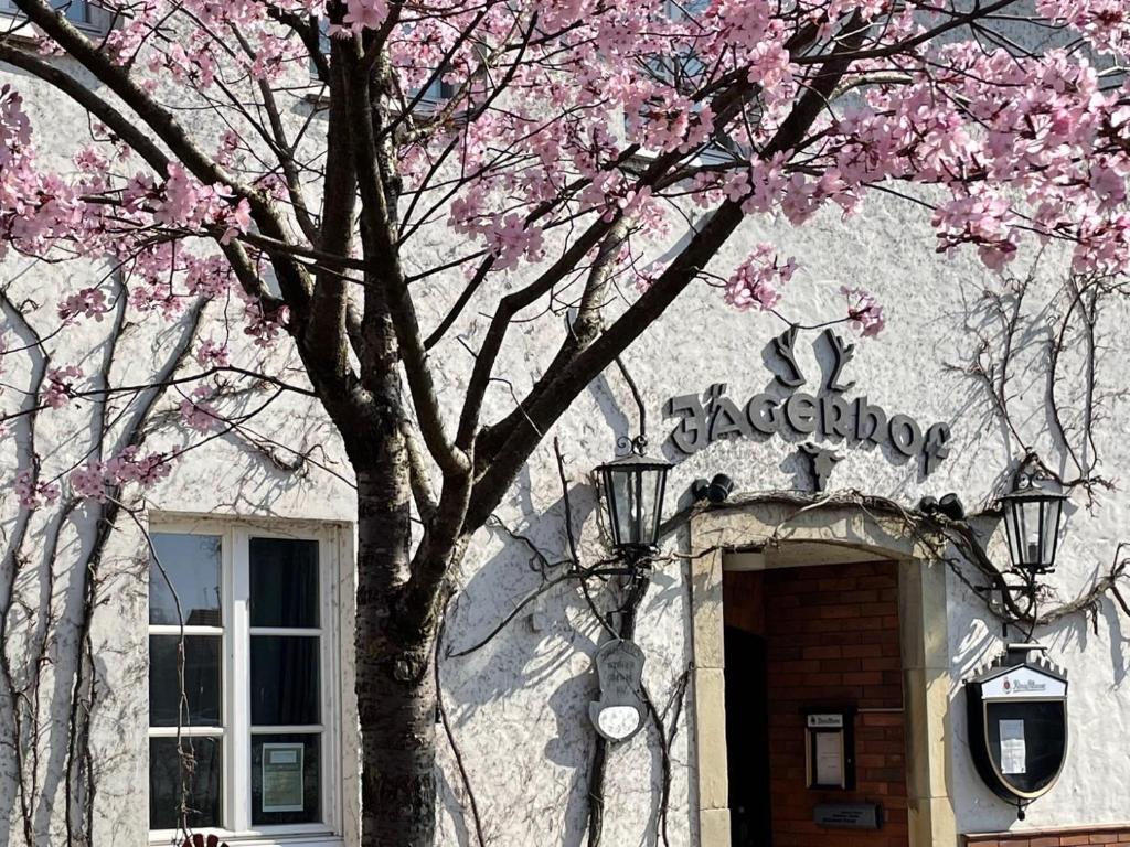 a tree with pink flowers in front of a building at Hotel Jägerhof in Coesfeld