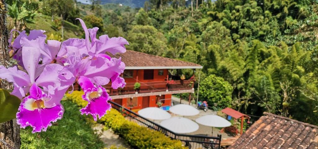 una vista aerea di un resort con fiori viola di Hotel Orillas del Pizano a Jardin