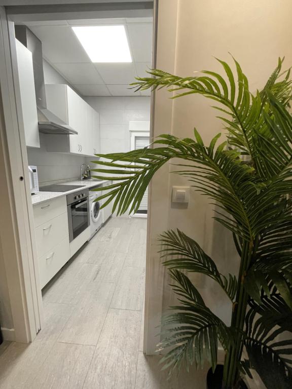 Plaza Centro Mercado - 19