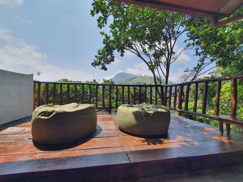 Ella Mount View Guest Inn - 2