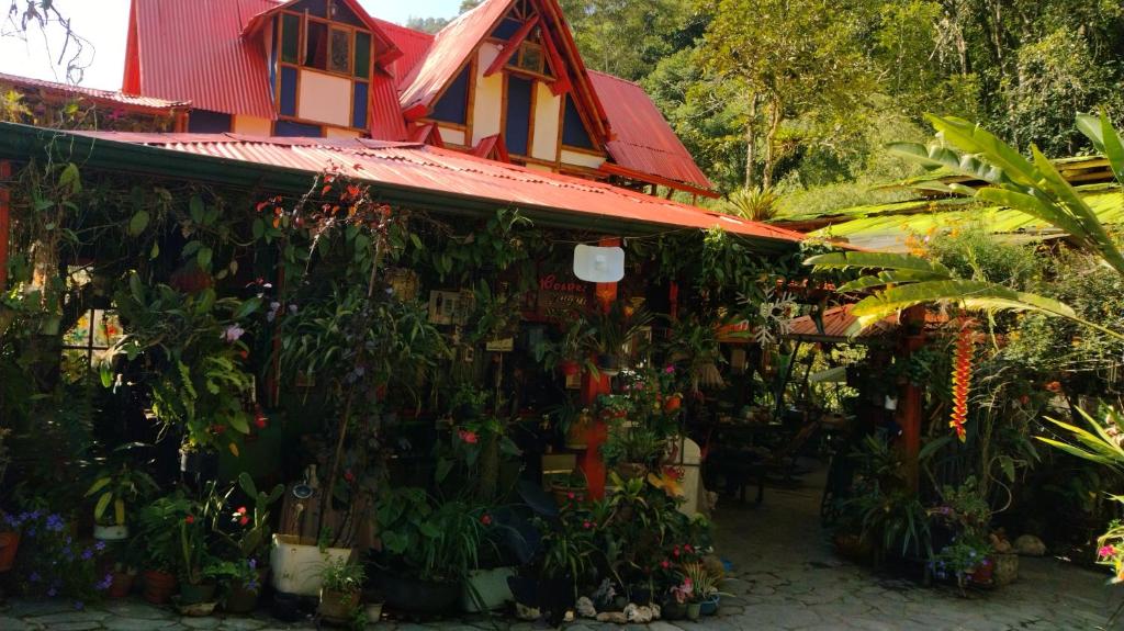 Zahrada ubytování Hospedaje Rural Tupinamba