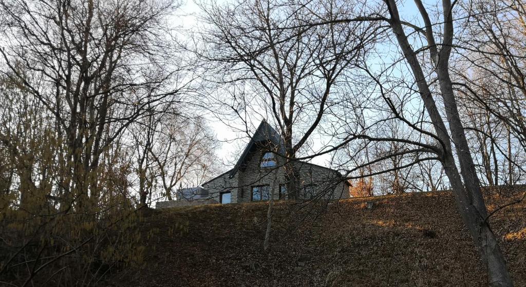 une maison assise au sommet d'une colline avec des arbres dans l'établissement Mountain cottage, à Parád