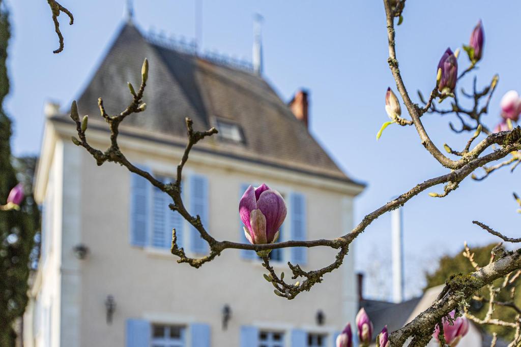 Fotografie z fotogalerie ubytování Manoir de la Voute maison d'hôtes v destinaci Pouillé