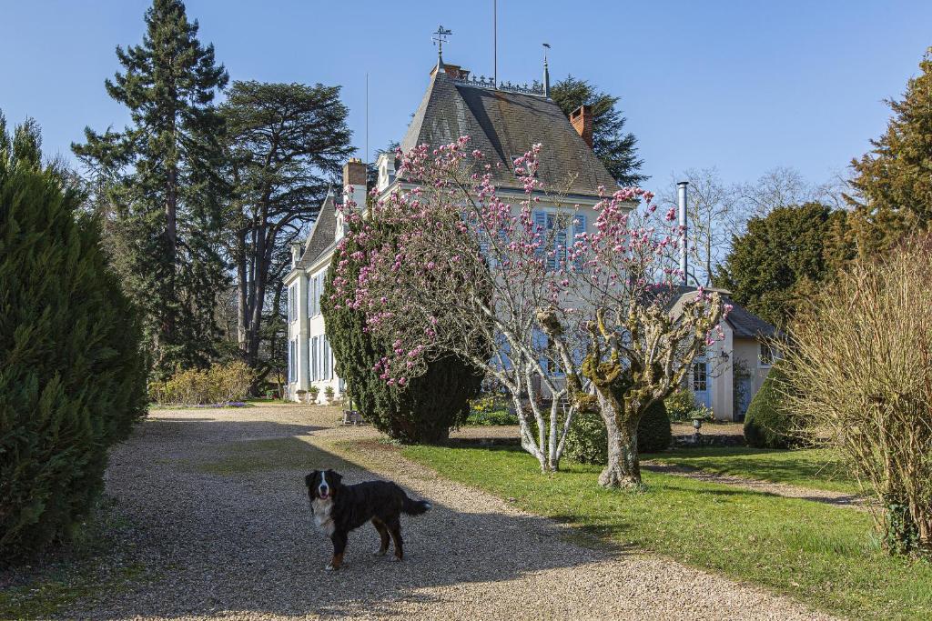 Domácí mazlíčci ubytovaní s hosty v ubytování Manoir de la Voute maison d'hôtes