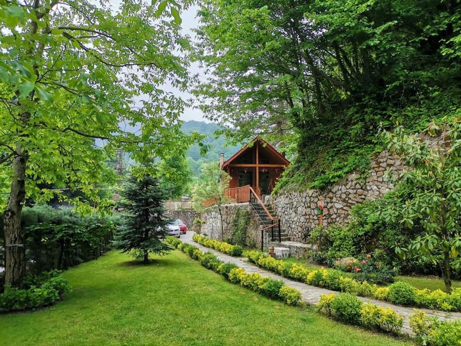 Orman İçinde Mavi Ladin Ağaç Ev - Housity