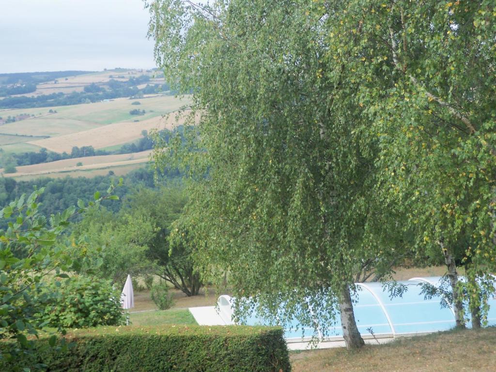 un árbol junto a una piscina y una casa en La croix des Landes gîte ou chambre d'hôte avec piscine à Chouvigny, en Chouvigny