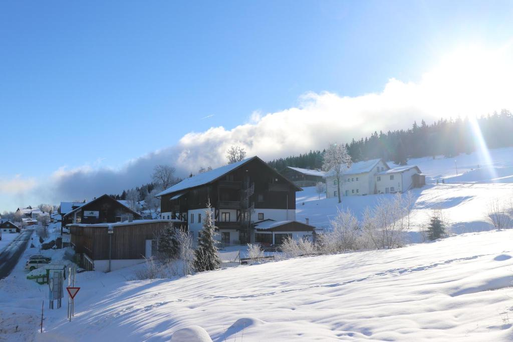 a snow covered village with a mountain in the background at FitApartman in Mitterfirmiansreut