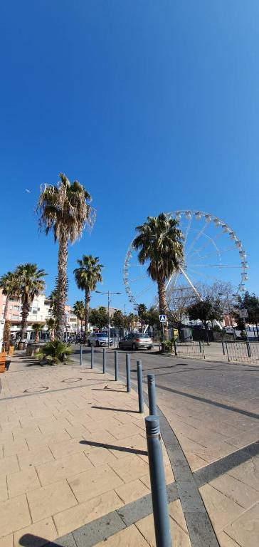 un parc avec des palmiers et une roue ferris en arrière-plan dans l'établissement Coquet studio au centre port du Cap d'Agde, au Cap d'Agde