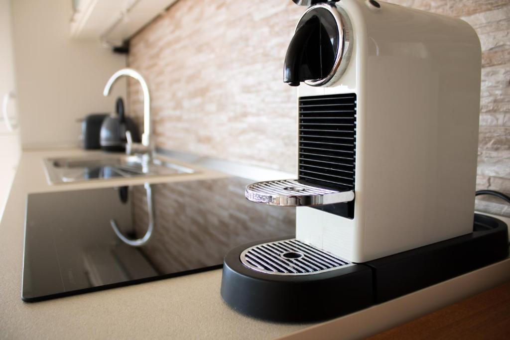 Kuchyň nebo kuchyňský kout v ubytování Penthouse Altus