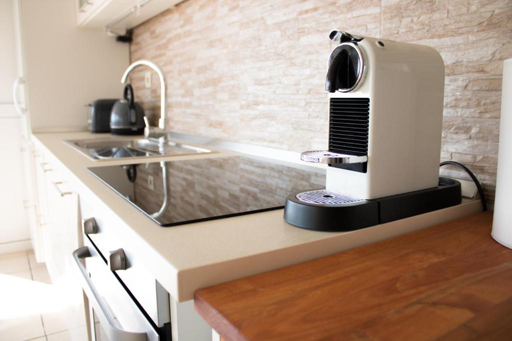 Kuchyň nebo kuchyňský kout v ubytování Penthouse Altus