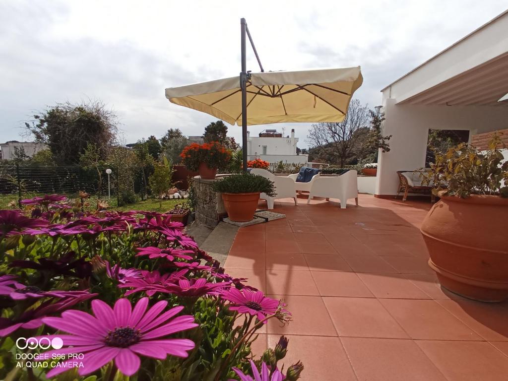 A garden outside Casa de la Luna