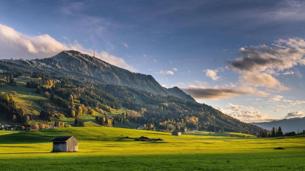 een groen veld met een schuur voor een berg bij Allgäuer Heimat in Rettenberg