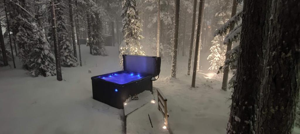 a tv sitting in the snow in a snowy forest at Levillenet Bearlodge at Levi city centre in Levi