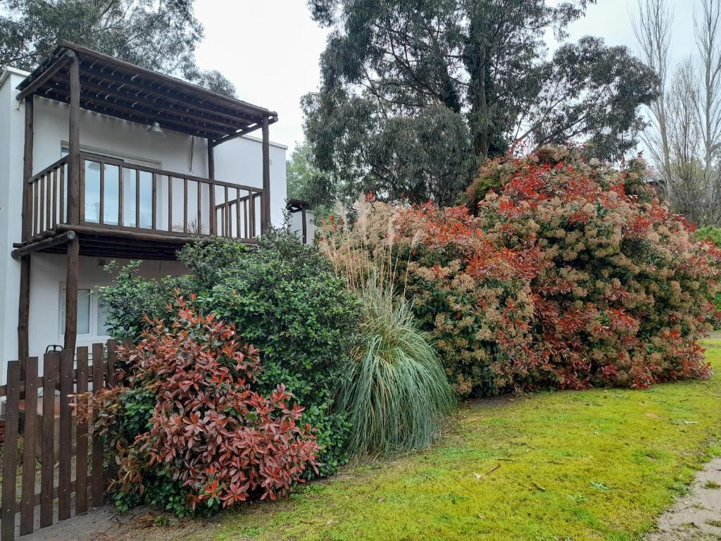 una casa con arbustos y una valla de madera en Casa de Moras, en Tandil