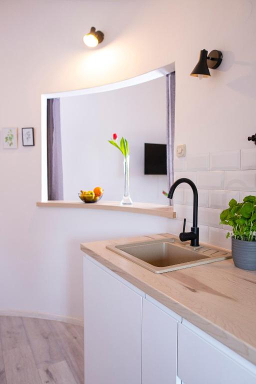 Kuchyňa alebo kuchynka v ubytovaní Apartman Ivo
