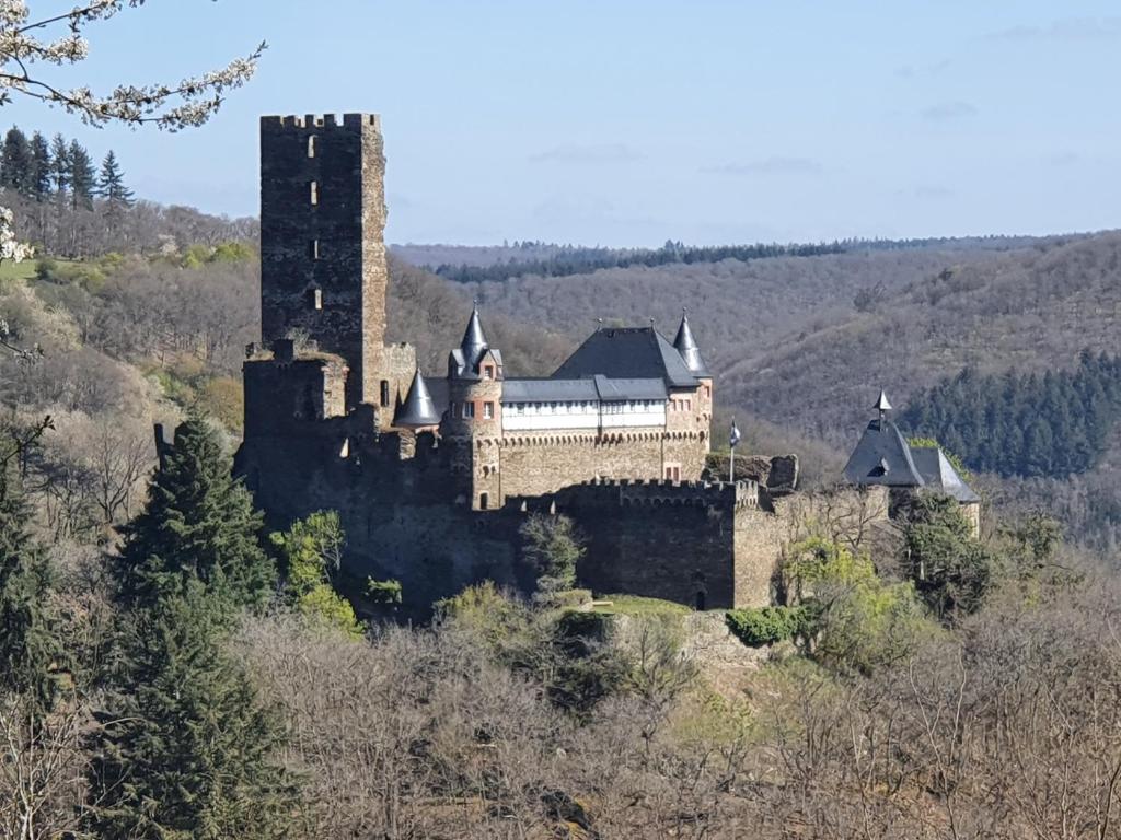 Sauerthal的住宿－Am Burggraben auf der Sauerburg，一座树冠茂密的山顶上的城堡