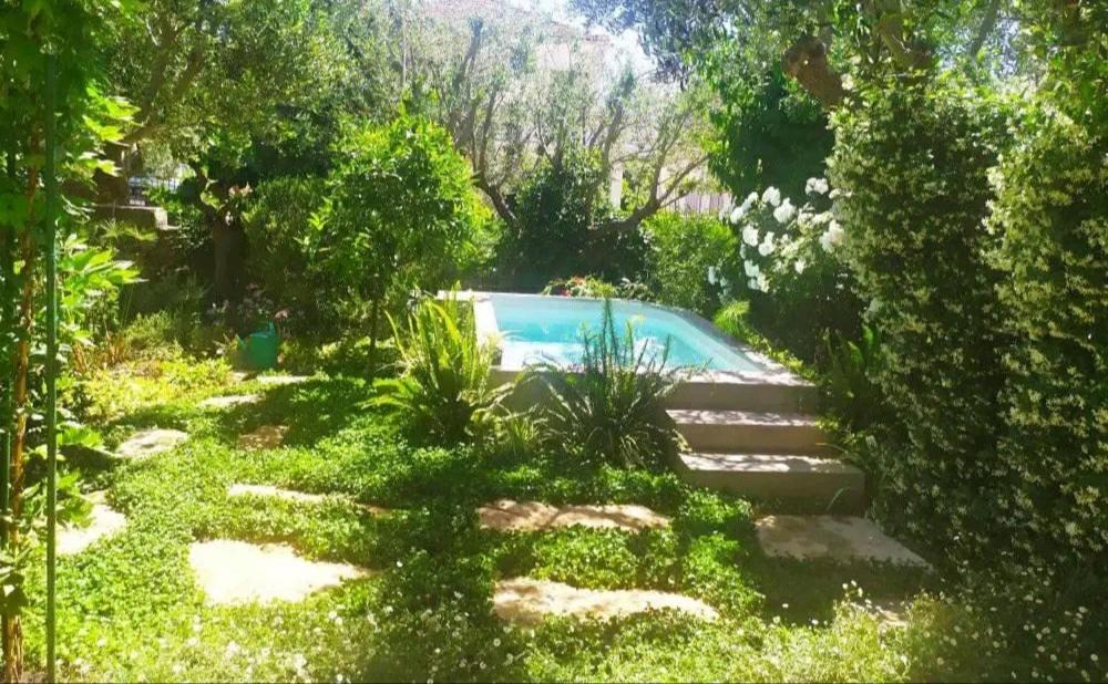 a swimming pool in the middle of a garden at Olive Lemon Biophilic House & Lush Forest Garden in Vamos