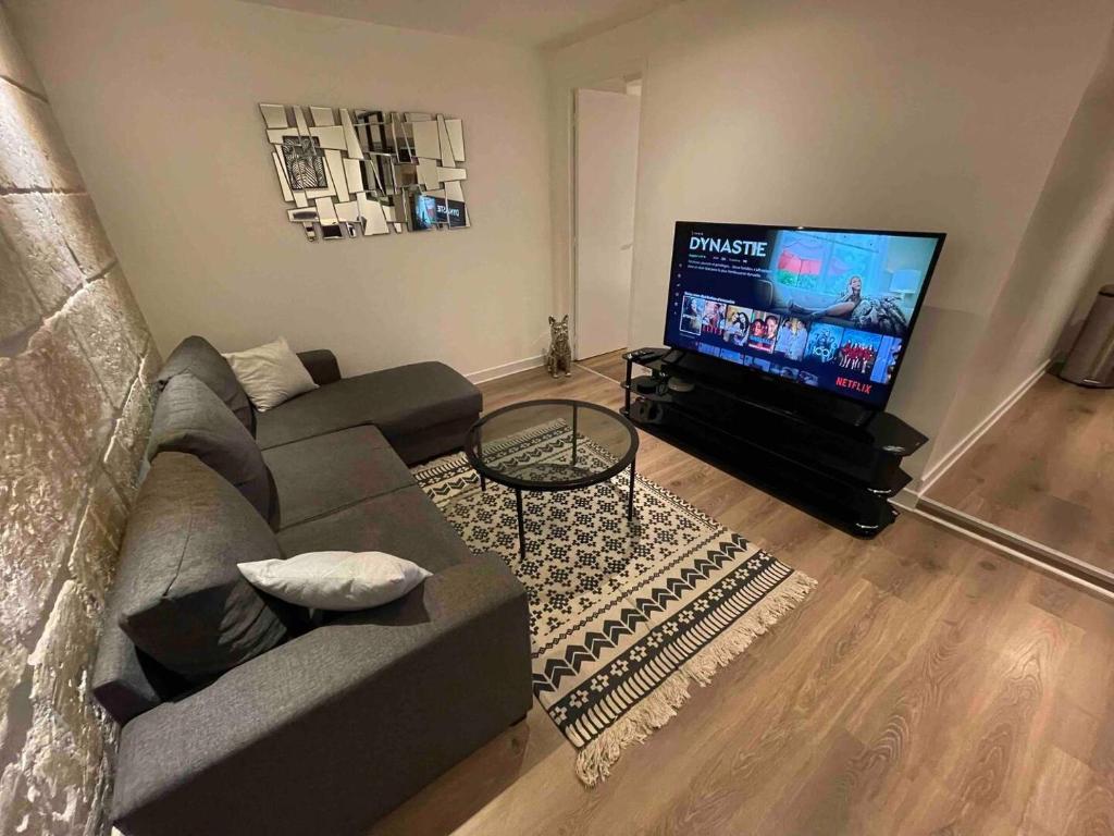 sala de estar con sofá y TV de pantalla plana en Le Black & White, hyper centre - paisible- wifi HD- NETFLIX- proche gare -Ideal couple et business, en Niort
