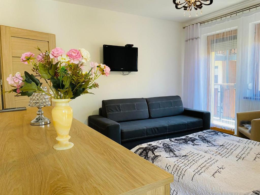 Televízia a/alebo spoločenská miestnosť v ubytovaní Apartament Rodzinny Gubałówka
