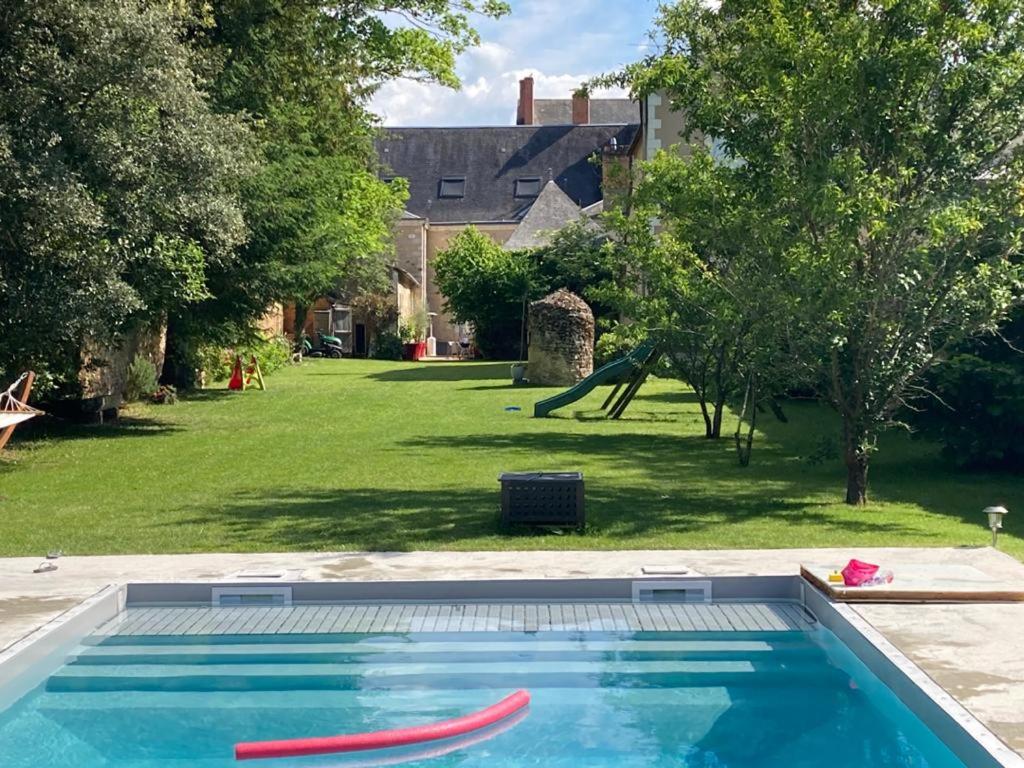 a swimming pool with two red frisbees in a yard at Chambre Sixtine in La Flèche