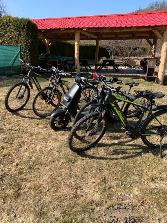 Jízda na kole v ubytování Hospůdka U rybníčku nebo okolí