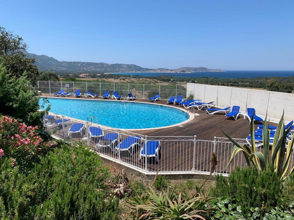 una piscina con sillas azules y el océano en Bel appartement idéalement situé en Haute Corse, en Lumio