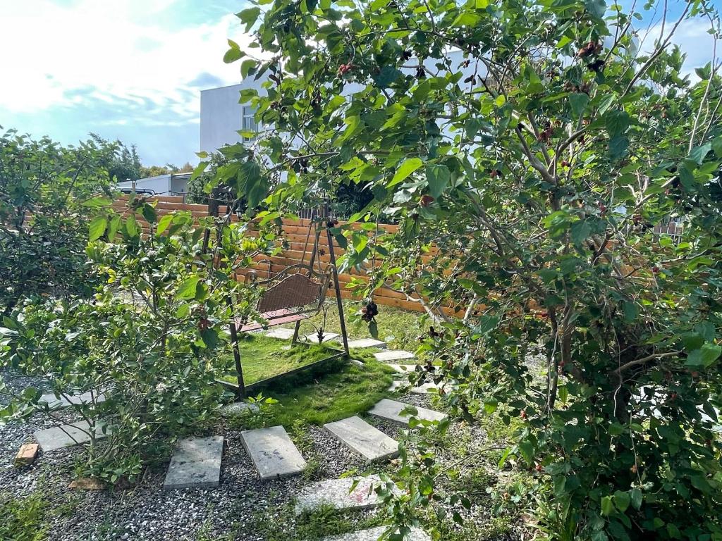 a garden with two apple trees and a fence at 寧靜的家14人Villa獨立設施包棟戲水池烤肉區麻將廚房私人停車場 in Hengchun South Gate