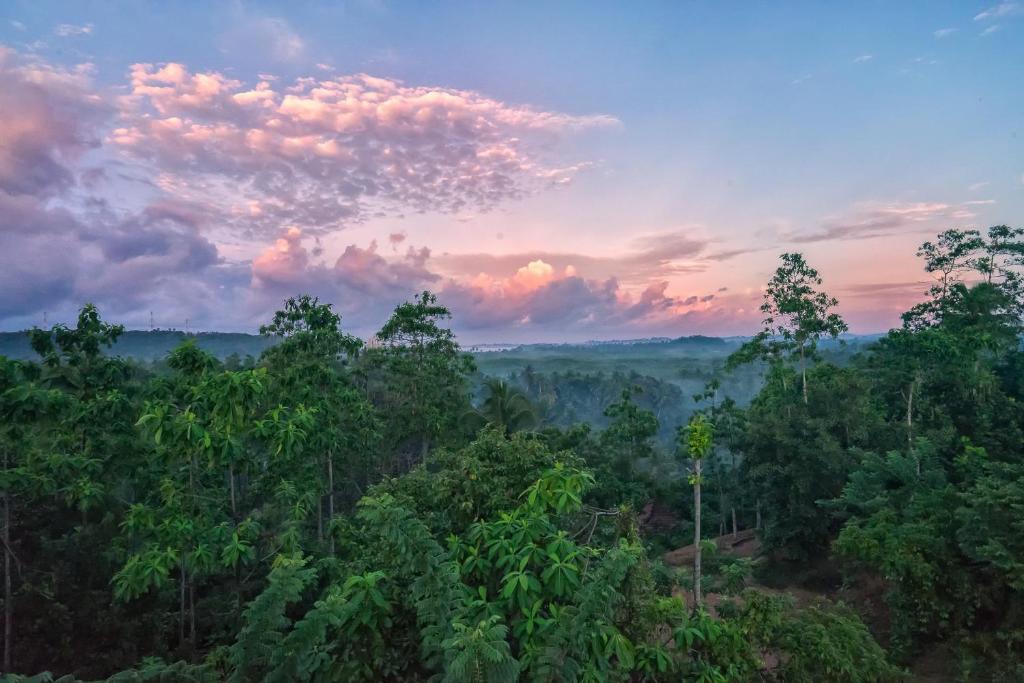 Villa Amma Erna - Galle - 3