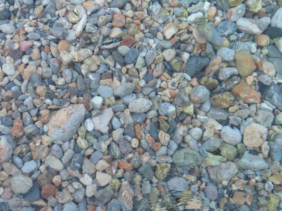 Příroda nedaleko penzionu