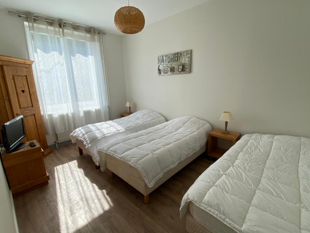 Les 4 flocons à 100m lac et du centre ville , wifi, parking, sauna - 13