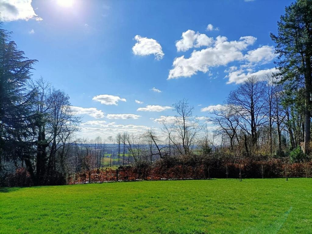 un campo de hierba verde con cielo azul y nubes en B&B Le Reclus en Mont-de-l'Enclus