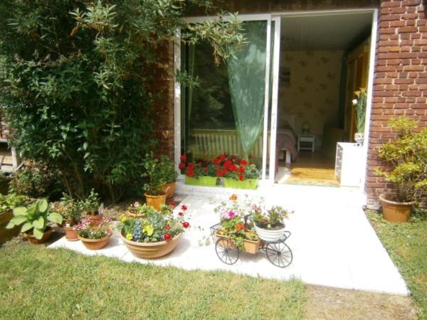 un grupo de plantas en macetas frente a una casa en Aux Sources de L'Ancre, en Miraumont