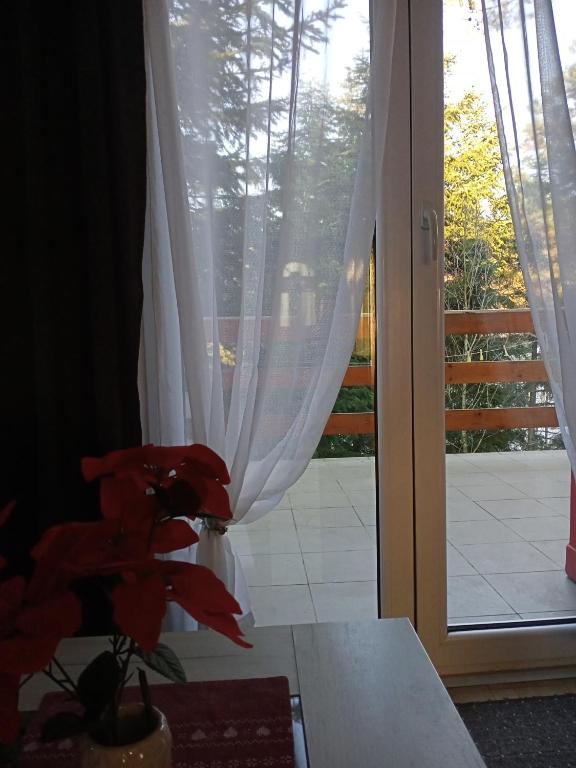 Zahrada ubytování Apartmani Trio